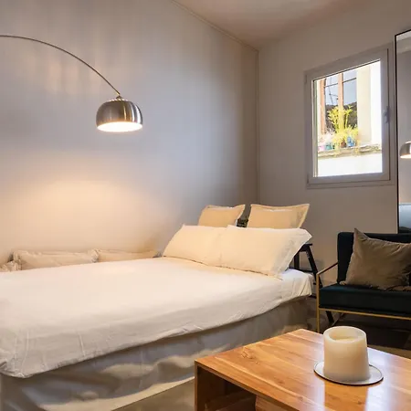 Santo Spirito Rooftop Retreat Apartment Florence